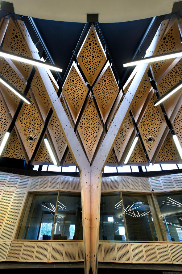 Conference Centre - Timber Portals - Designed by Earthworld Architects and Interiors.jpg