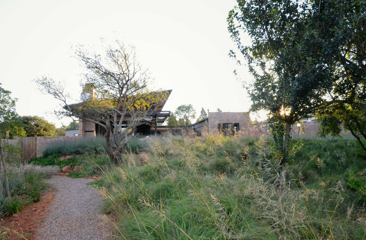 House Meerholz - Yard - Designed by Earthworld Architects & Inside Interiors.jpg