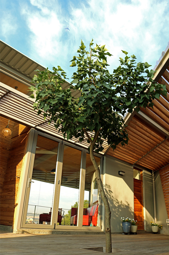House van Dyk - Designed by Earthworld Architects & Interiors